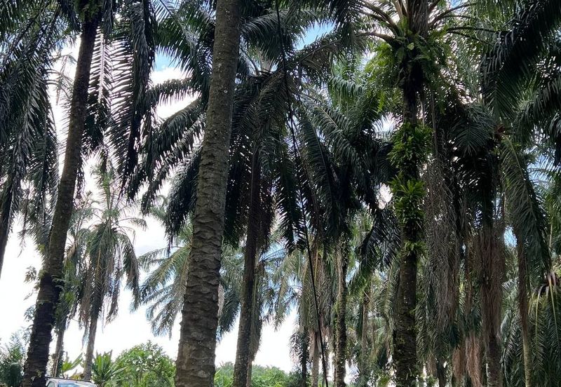 Kawasan Perindustrian Kanthan