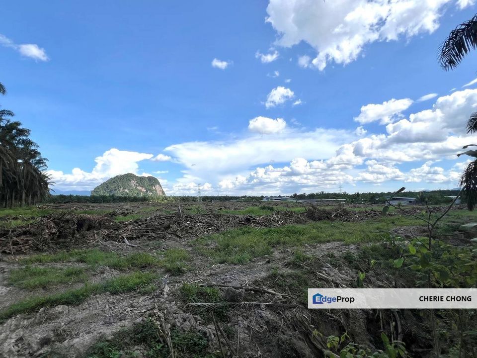 Kanthan Chemor Agriculture Land Convertible to Industry Land , Perak, Chemor