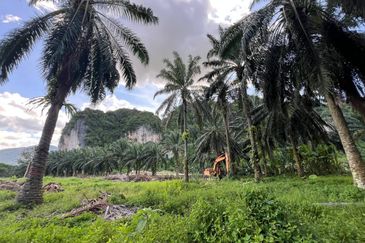 Kawasan Perindustrian Kanthan