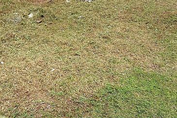 OFF JALAN PASIR PUTEH