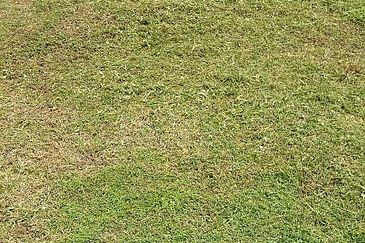 OFF JALAN PASIR PUTEH