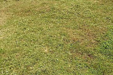 OFF JALAN PASIR PUTEH