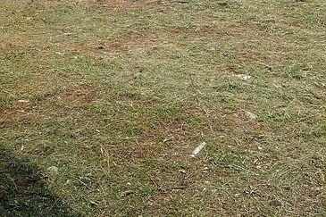 OFF JALAN PASIR PUTEH