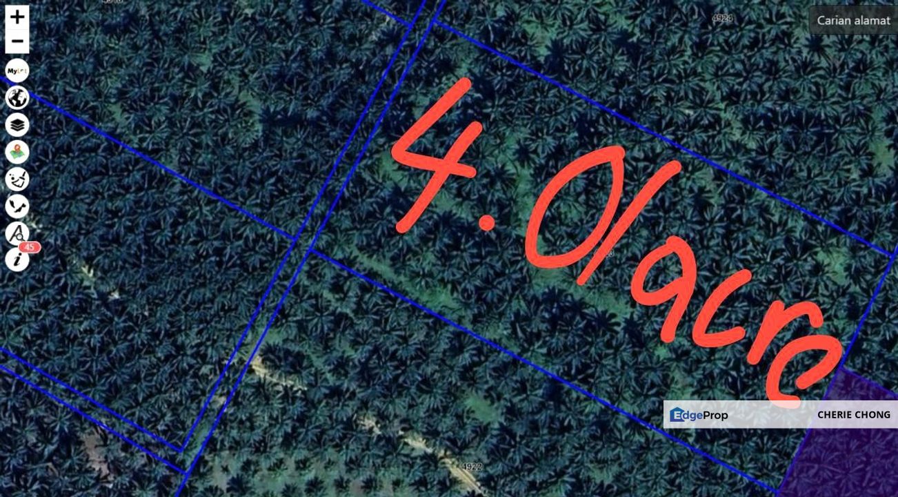 Perak Selama 3 Pieces Prime Freehold Palm Oil Land With Reserved Road , Perak, Selama