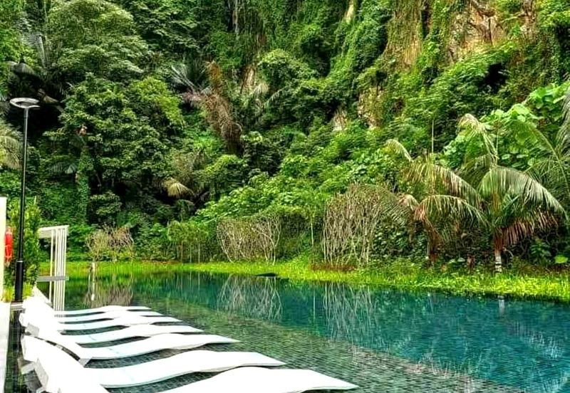 THE COVE HILLSIDE RESIDENCE