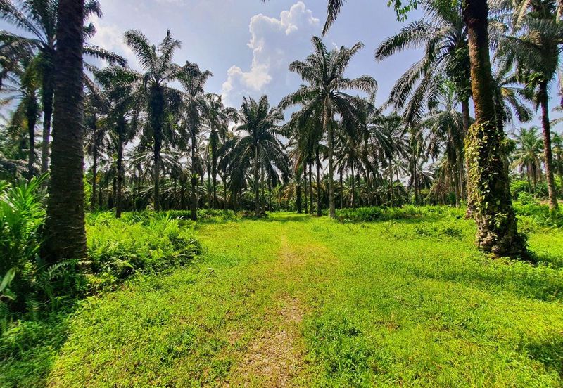 Langkap Agricultural Land