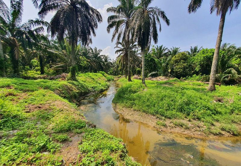 Langkap Agricultural Land