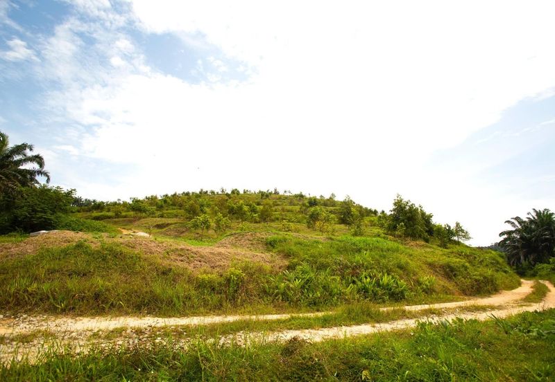 Selama Redang Panjang Ijok Prime Well maintained Durian Agarwood & Fruit Orchard With Immediate Income Water Source Good Investment & Eco Farming