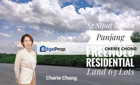 Sungai Siput Rimba Panjang Freehold Residential Land 63 Lots, Perak, Kuala Kangsar