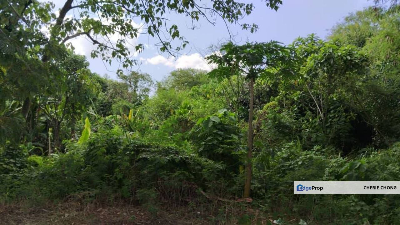 Jalan Kuala Kangsar Rare Agricultural Land Strategic Location Best Investment , Perak, Ipoh