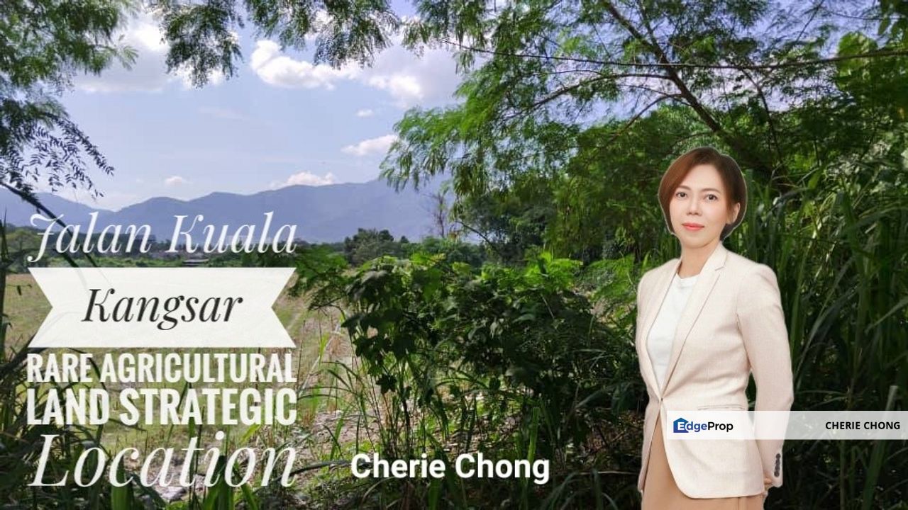 Jalan Kuala Kangsar Rare Agricultural Land Strategic Location Best Investment , Perak, Ipoh