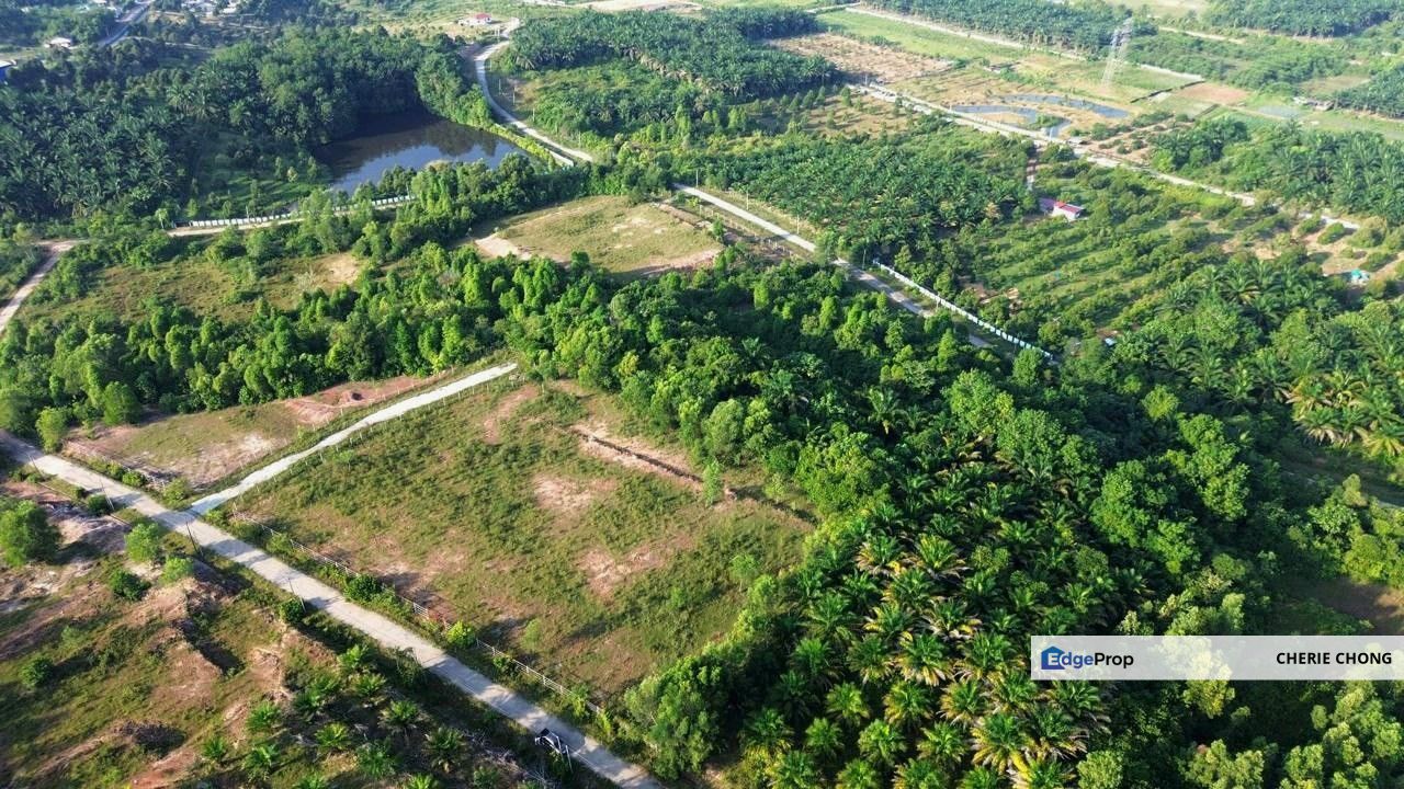 Gopeng Ipoh Country Park Freehold Agricultural Land Near College & Main Road Large Piece Land , Perak, Gopeng