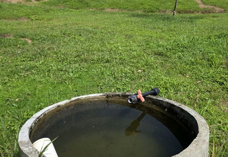 Serdang Kedah Durian Orchard Near Selama Parit Buntar Good Investment Easy Access Mature Trees Solid Infrastructure 