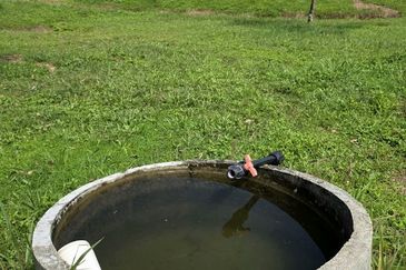 Serdang Kedah Durian Orchard Near Selama Parit Buntar Good Investment Easy Access Mature Trees Solid Infrastructure 