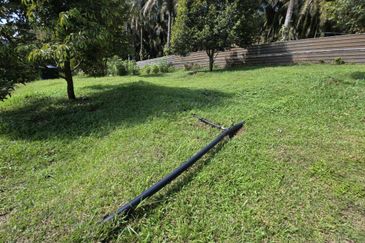 Serdang Kedah Durian Orchard Near Selama Parit Buntar Good Investment Easy Access Mature Trees Solid Infrastructure 