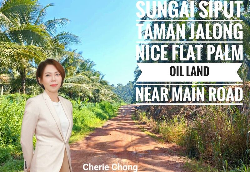 Sungai Siput