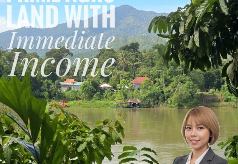 Manong Kuala Kangsar Prime Agricultural Land With Immediate Income 