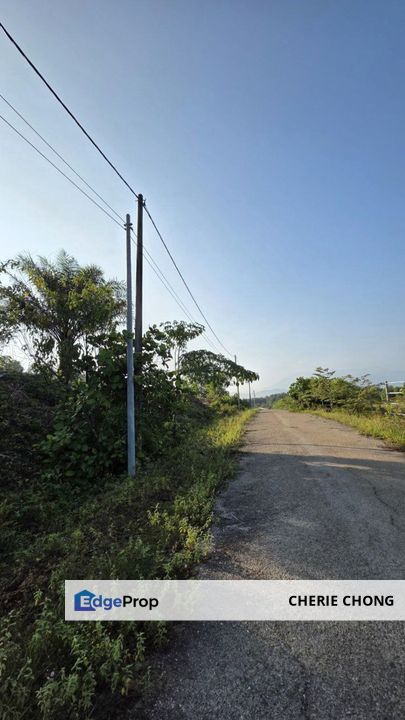 Gopeng Country Park Freehold Agro Land Electricity & Water Ready Good Investment , Perak, Ipoh