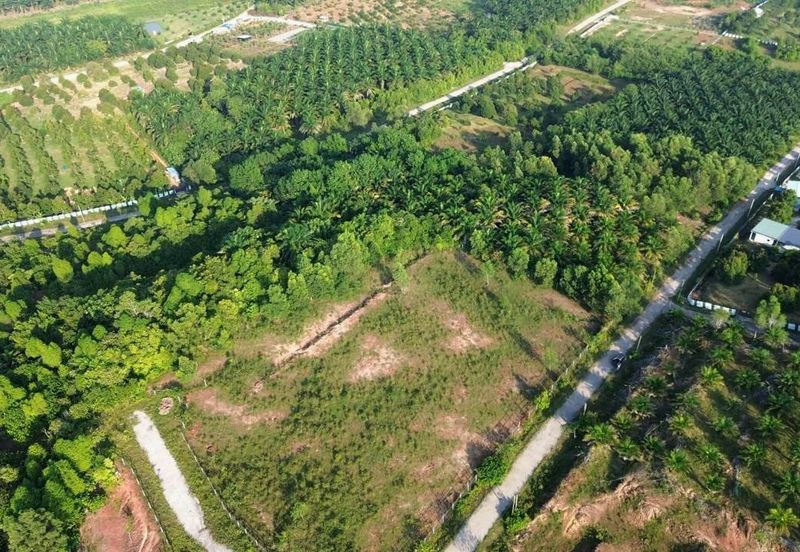 Gopeng Country Park Freehold Agro Land Electricity & Water Ready Good Investment 