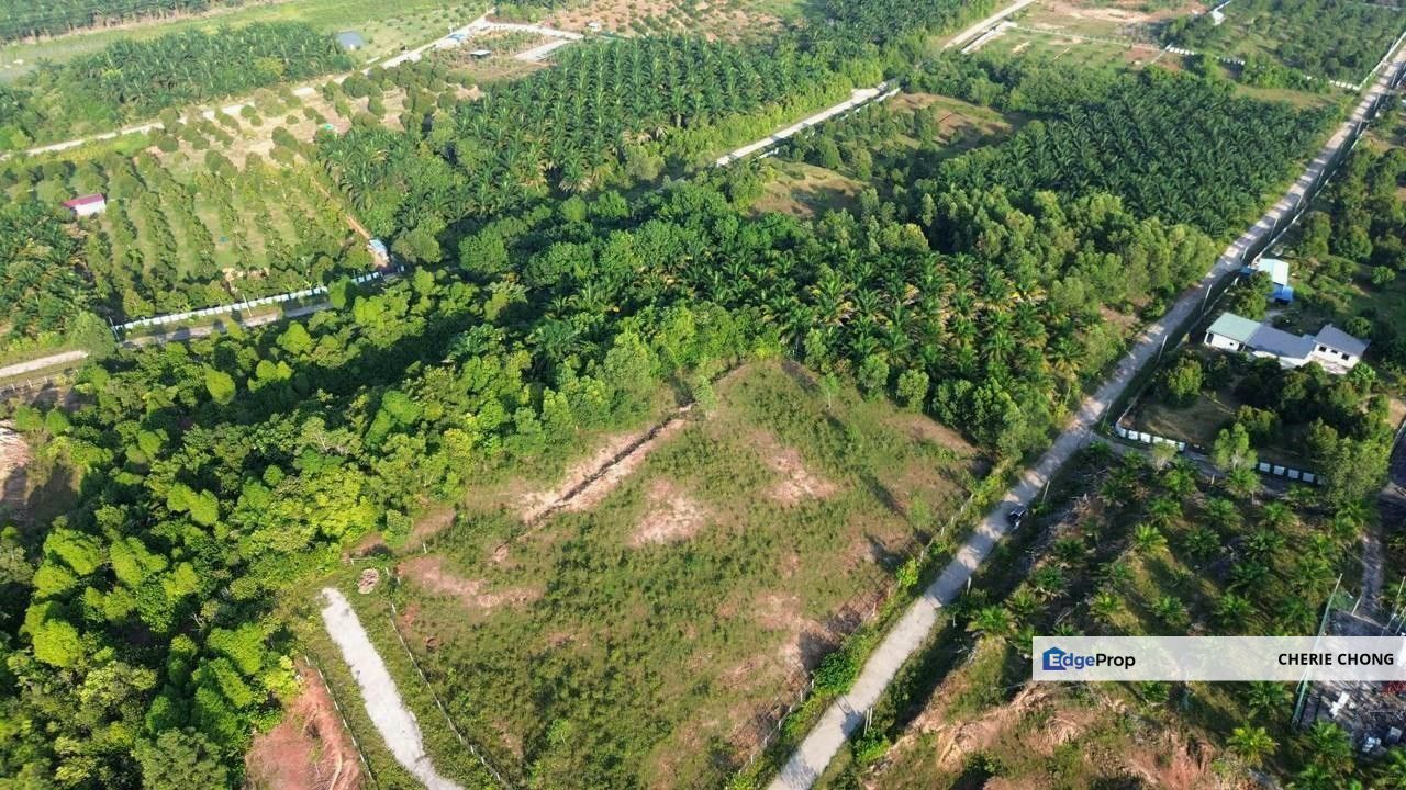 Gopeng Country Park Freehold Agro Land Electricity & Water Ready Good Investment , Perak, Ipoh