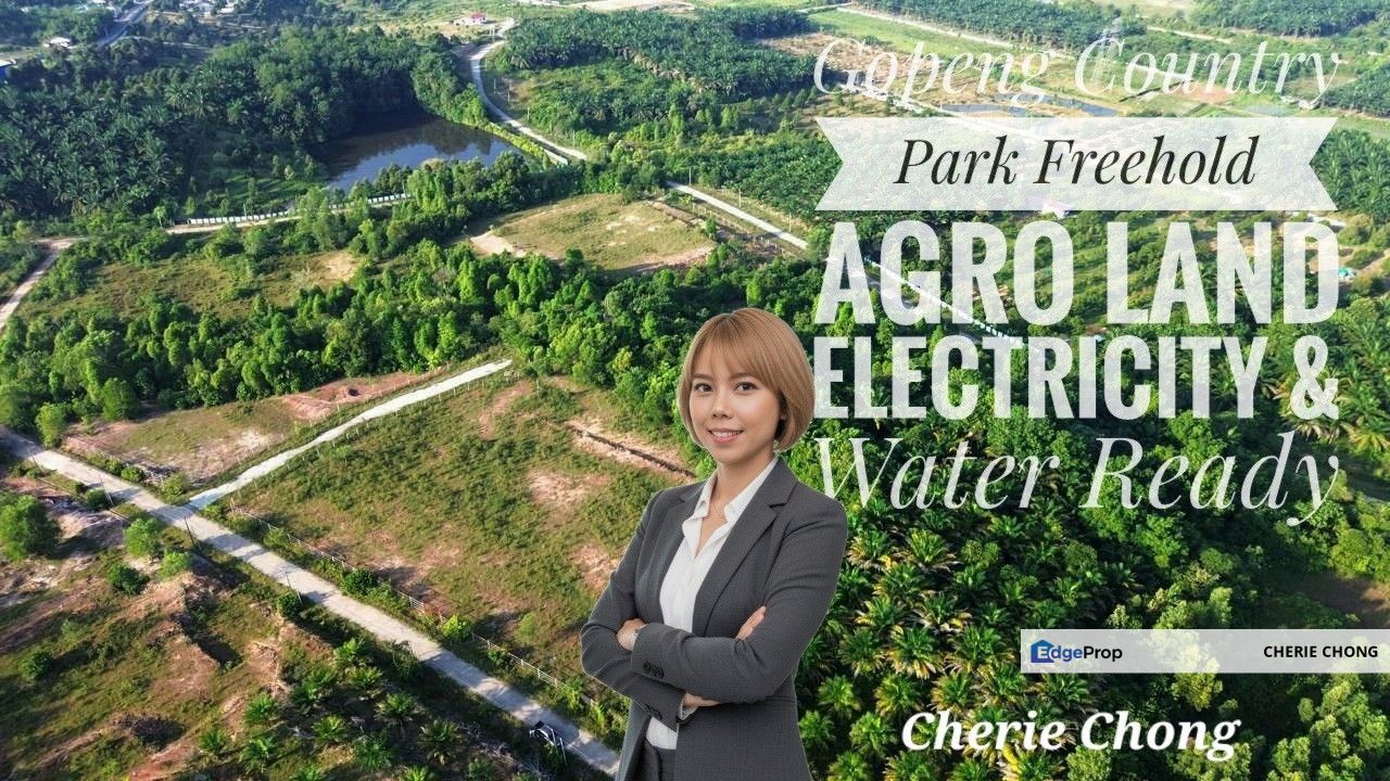 Gopeng Country Park Freehold Agro Land Electricity & Water Ready Good Investment , Perak, Ipoh