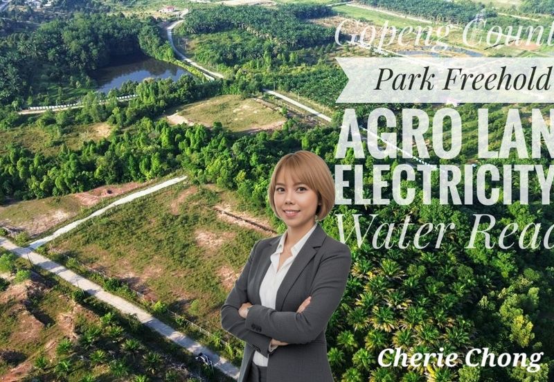 Gopeng Country Park Freehold Agro Land Electricity & Water Ready Good Investment 