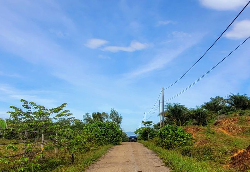 Gopeng Country Park Freehold Agro Land Electricity & Water Ready Good Investment 