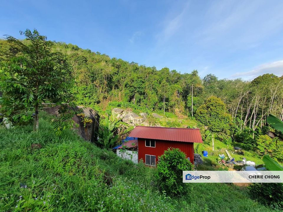 Sungai Siput Salak Lama Freehold Prime Durian Farm With Water Source , Perak, Ipoh