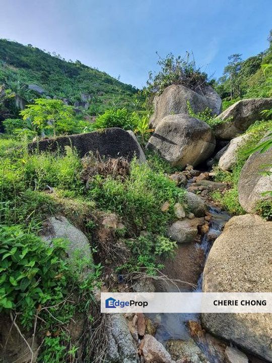 Sungai Siput Salak Lama Freehold Prime Durian Farm With Water Source , Perak, Ipoh