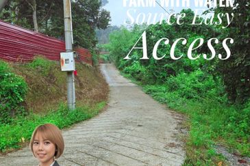 Lenggong Sauk Kuala Kangsar Freehold Durian & Rubber Farm With Water Source Easy Access Resort Type