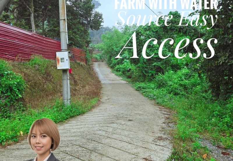 Lenggong Sauk Kuala Kangsar Freehold Durian & Rubber Farm With Water Source Easy Access Resort Type