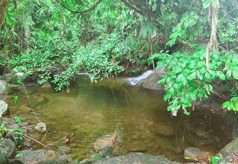 Lenggong Sauk Kuala Kangsar Freehold Durian & Rubber Farm With Water Source Easy Access Resort Type