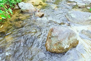 Lenggong Sauk Kuala Kangsar Freehold Durian & Rubber Farm With Water Source Easy Access Resort Type