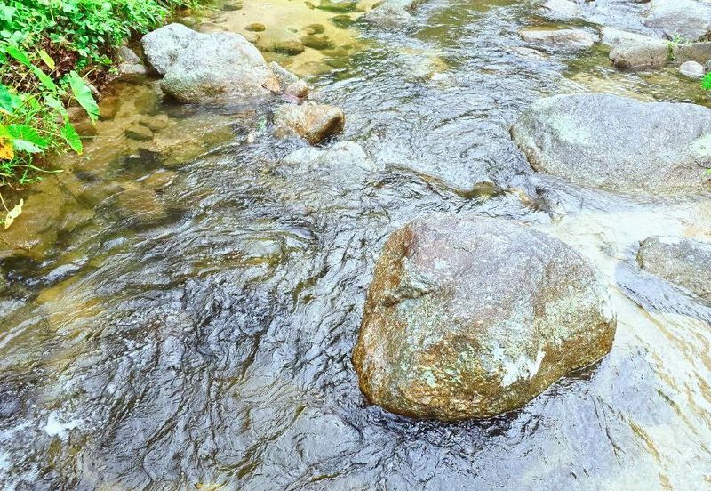 Lenggong Sauk Kuala Kangsar Freehold Durian & Rubber Farm With Water Source Easy Access Resort Type