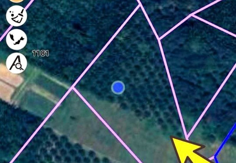 Padang Rengas Kuala Kangsar Freehold Palm Oil Land With Ready Income 