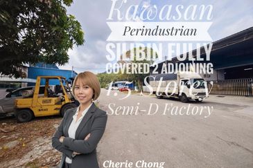 Kawasan Perindustrian Silibin (Silibin Industrial Park)