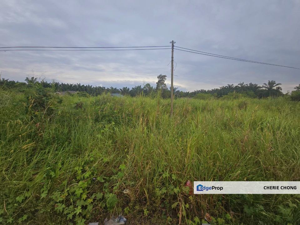 Kampung Jerlun Kuala Kangsar Nice Spacious Residential Land Facing Main Road , Perak, Kuala Kangsar