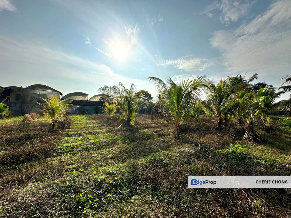 Gopeng Freehold Flat Agricultural Land Beside Main Road , Perak, Gopeng