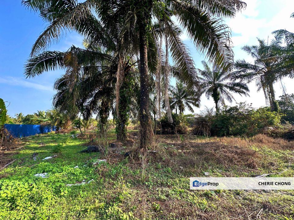 Gopeng Freehold Flat Agricultural Land Beside Main Road , Perak, Gopeng