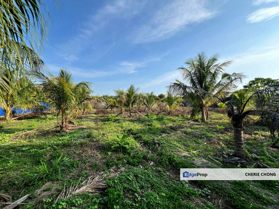 Gopeng Freehold Flat Agricultural Land Beside Main Road , Perak, Gopeng