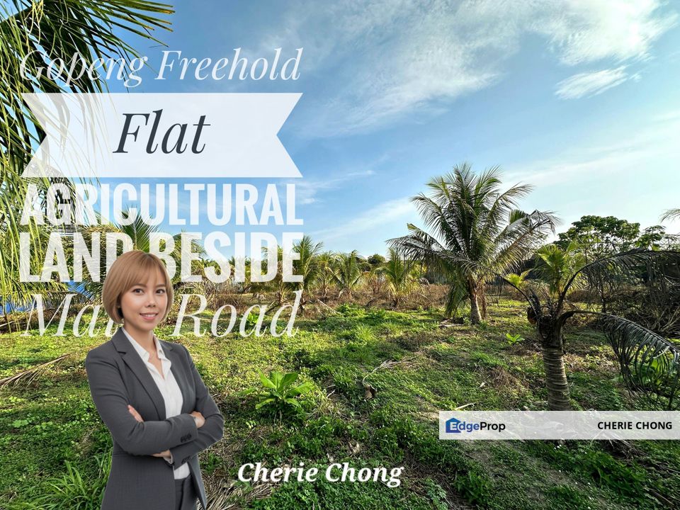 Gopeng Freehold Flat Agricultural Land Beside Main Road , Perak, Gopeng