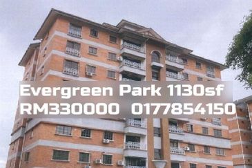 Evergreen Park Scot Pine