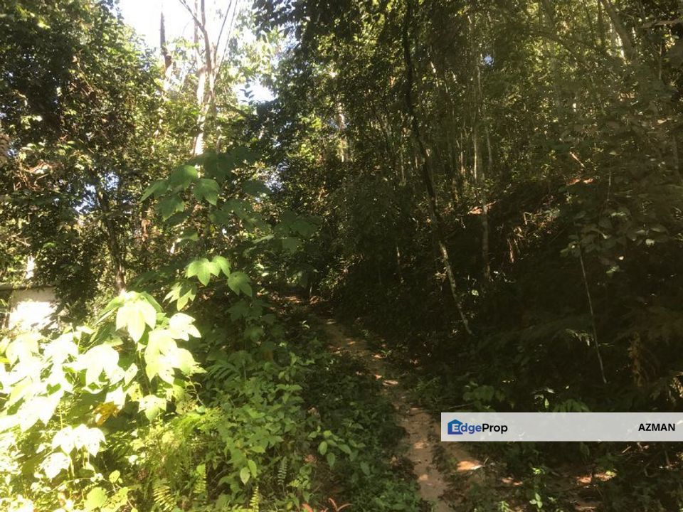 Tanah 10 Ekar Batu 16 Dusun Tua Hulu Langat For Sale Rm3 300 000 By Azman Edgeprop My