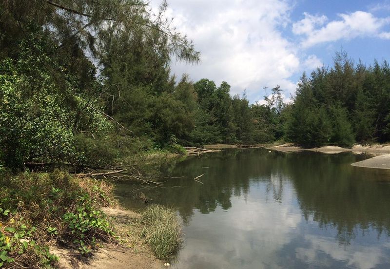 Sungai Karang, Kuantan Residential Land For Sale