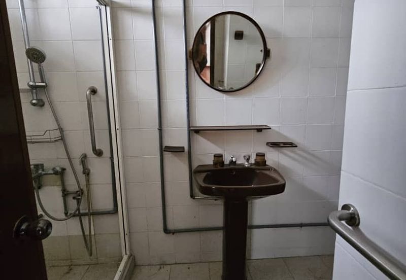 Taman Tasik Titiwangsa