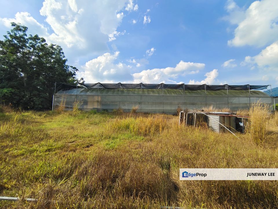 Jalan Broga, Semenyih,  Land with Ready Plantation Green House x 6 units for RENT , Selangor, Semenyih