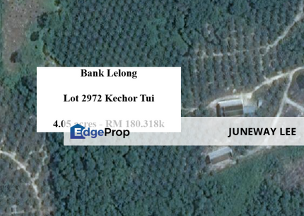 Bank Lelong Lipis Land ; Lot 2972, Jalan Kuala Lipis-Merapoh-Sungai Koyan, Kechor Tui, 27200, Kuala Lipis, Pahang., Pahang, Kuala Lipis