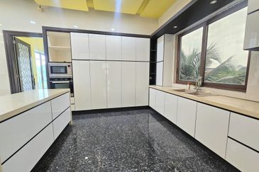 The Lotus of The Mines