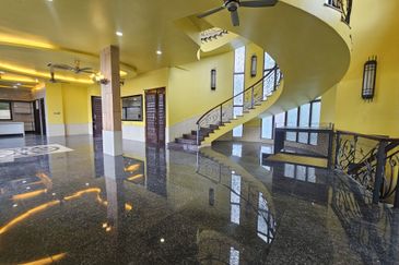 The Lotus of The Mines