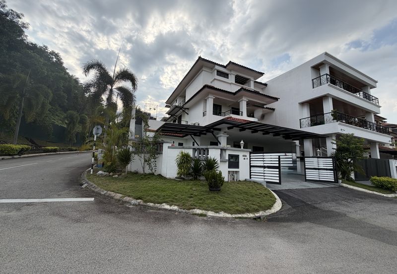 Damai Gayana